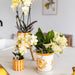 Malet Stripe Dekorativ Potte - Orange