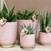 Skinnende Pink Keramik Dekorativ Pot