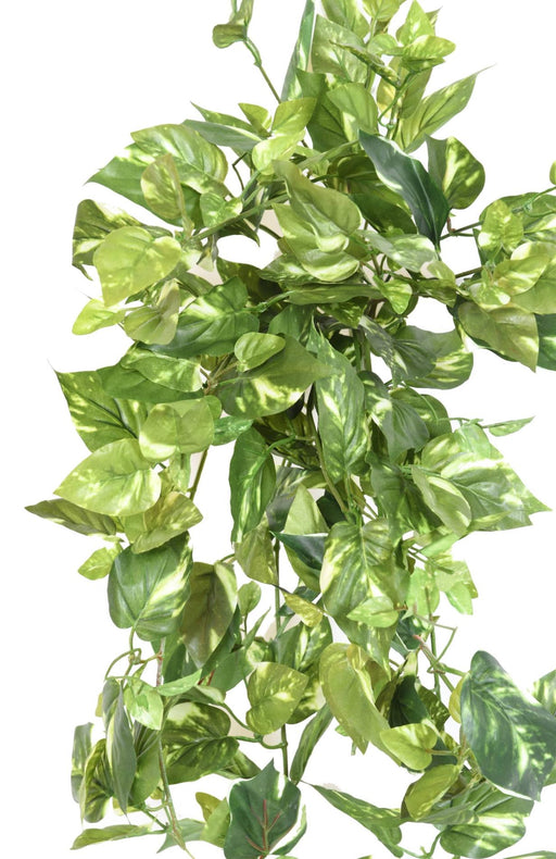 Broget Kunstig Pothos 80 Cm På Spil Til Indendørs