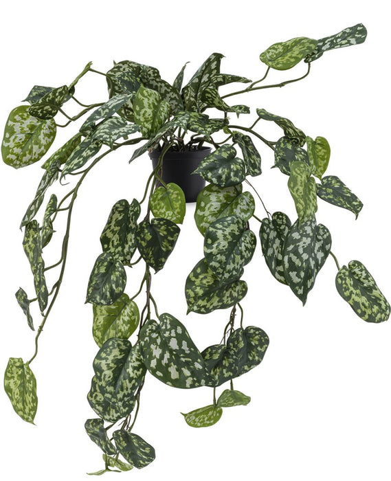 Pothos Silver - Kunstig Hængeplante