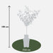 Blommetræ 'Reine Claude Verte' - H100Cm, Ø29Cm - Stor Udendørs Plante