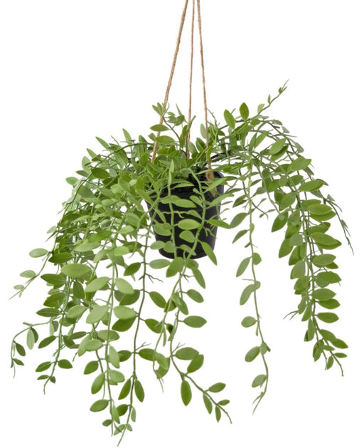 Pumila - Kunstig Faldende Plante