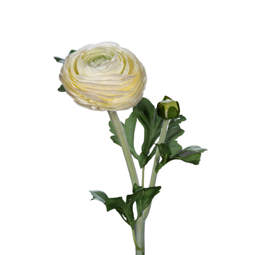 Kunstig Ranunkelcreme 57Cm Blomsterhandlerstilk