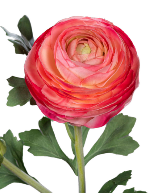 Kunstig Ranunculus Fuchsia Stængel 57 Cm