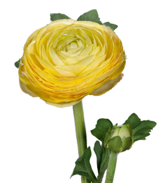 Kunstig Gul Ranunculus Stilk 57 Cm Til Buket
