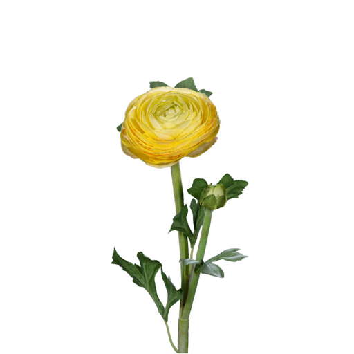 Kunstig Gul Ranunculus Stilk 57 Cm Til Buket