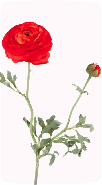 Kunstig Orange Ranunculus Boligindretning