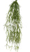 Kunstig Rhipsalis 50 Cm Til Indendørs Og Udendørs