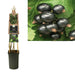Ribes Nigrum 'Ben Nevis'+3.0 Label - Ø17Cm - ↕75Cm
