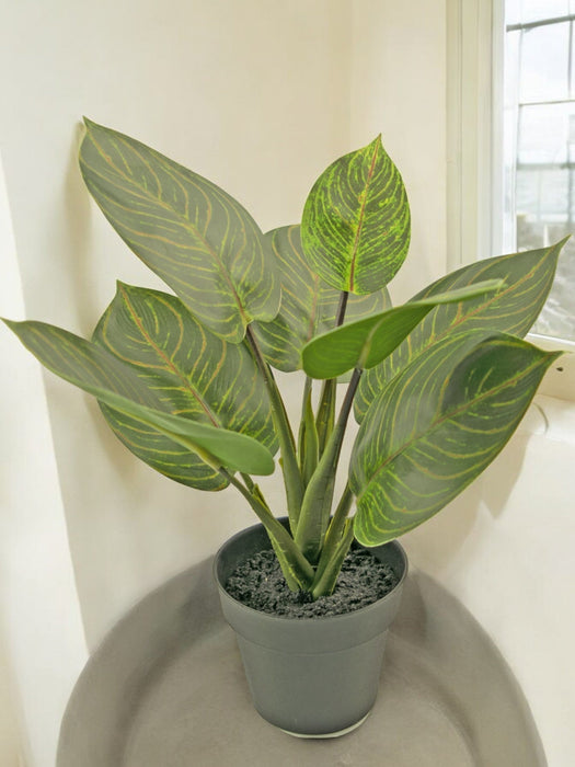 Rohdea - Kunstig Grøn Plante