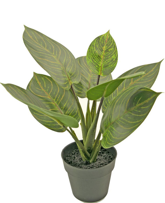 Rohdea - Kunstig Grøn Plante
