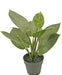 Rohdea - Kunstig Grøn Plante