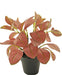 Rohdea Red - Kunstig Grøn Plante