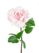 Kunstig Rose 66 Cm Til Indretning