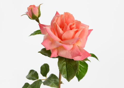 Kunstig Koralrose 53 Cm Indvendig Dekoration