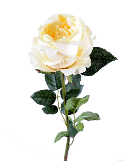 Kunstig Creme Rose 80 Cm Indvendig Dekoration