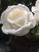 Kæmpe Hvid Kunstig Rose 108 Cm Interiør Dekoration