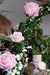 Kæmpe Kunstig Rose Interiør Dekoration 170Cm