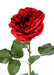 Kunstig Rose Rød 85 Cm Blomsterdekoration