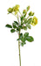 Kunstig Vild Rose 52 Cm Til Blomsterdekoration