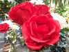 Kæmpe Kunstig Rose Rød 108 Cm Indvendig Dekoration