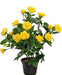 Kunstig Gul Miniature Rose