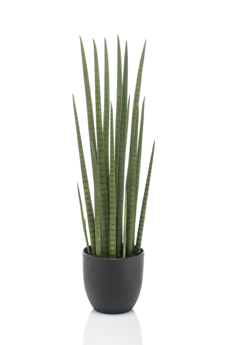 Sansevieria Cylindrica Kunstig Plante - H70Cm, Ø12Cm