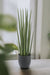 Sansevieria Cylindrica Kunstig Plante - H70Cm, Ø12Cm
