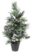 Kunstig Mini Finley Frosted Gran Tree 45Cm Grøn Hvid