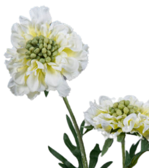 Kunstig Scabiosa Stilk 55 Cm Creme Dekoration