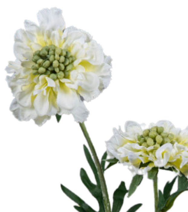 Kunstig Scabiosa Stilk 55 Cm Creme Dekoration