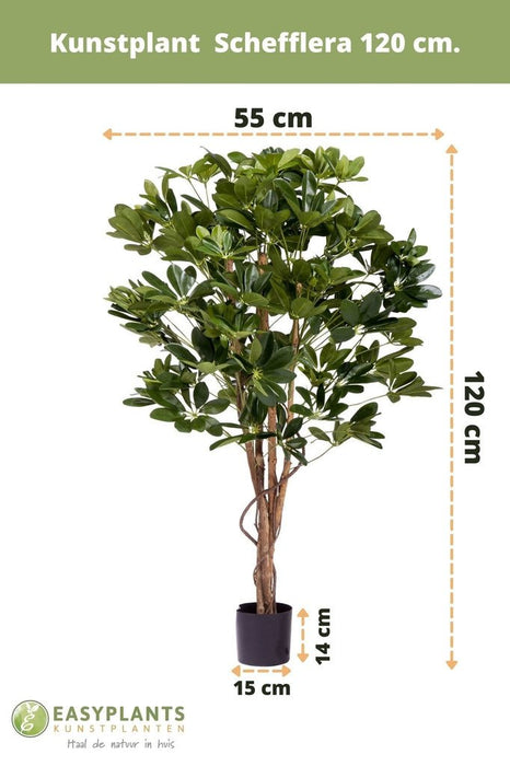 Schefflera - Kunstigt Træ