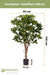 Schefflera - Kunstigt Træ