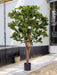 Schefflera - Kunstigt Træ