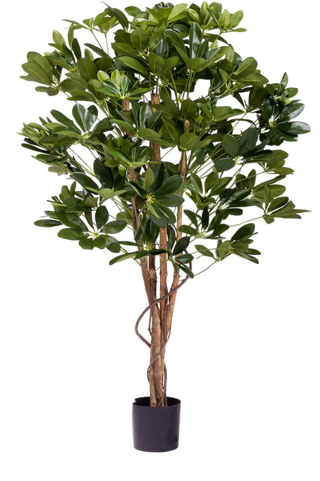 Schefflera - Kunstigt Træ