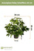Schefflera - Kunstig Grøn Plante