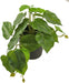 Scindapsus - Kunstig Grøn Plante