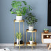 Kina Green Plant Bolster