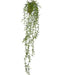 Senecio Peregrinus - Kunstig Faldende Plante