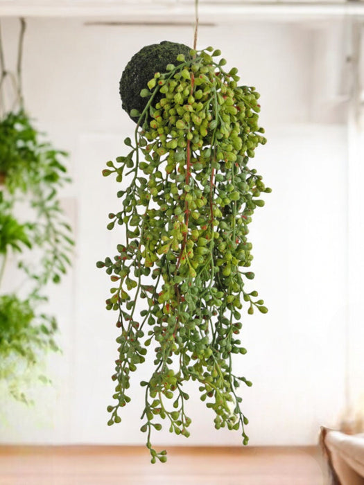Senecio - Kunstig Faldende Plante
