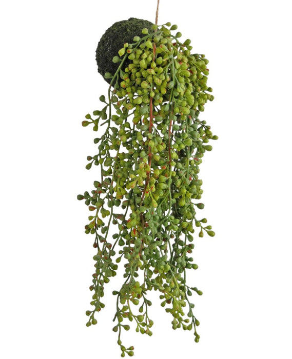Senecio - Kunstig Faldende Plante