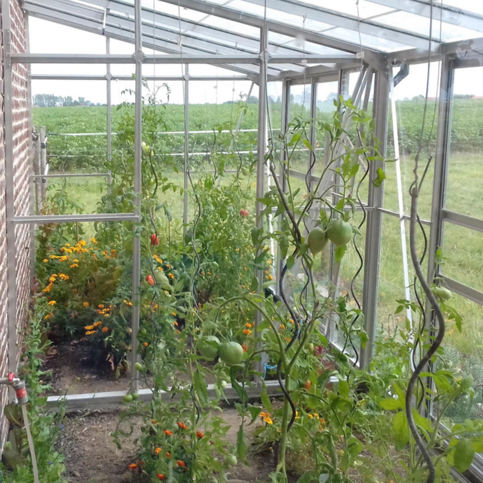 Drivhus - Mélissa 4,9M²