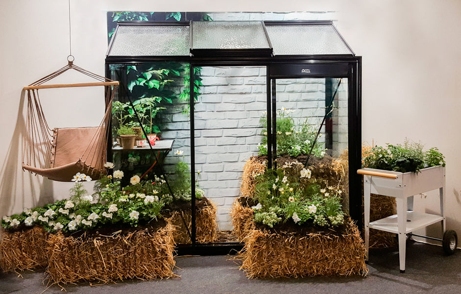 Miccolo Drivhus 1,85M²