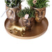 Orchid & Rhipsalis Gavesæt Med Gylden Jaguar Og Keramiske Potter