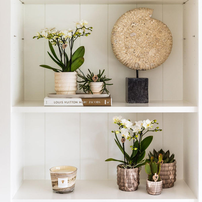 Marmor Light Keramisk Sierpot