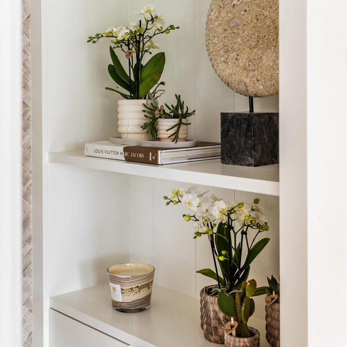 Marmor Light Keramisk Sierpot