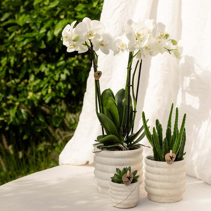 Marmor Light Keramisk Sierpot
