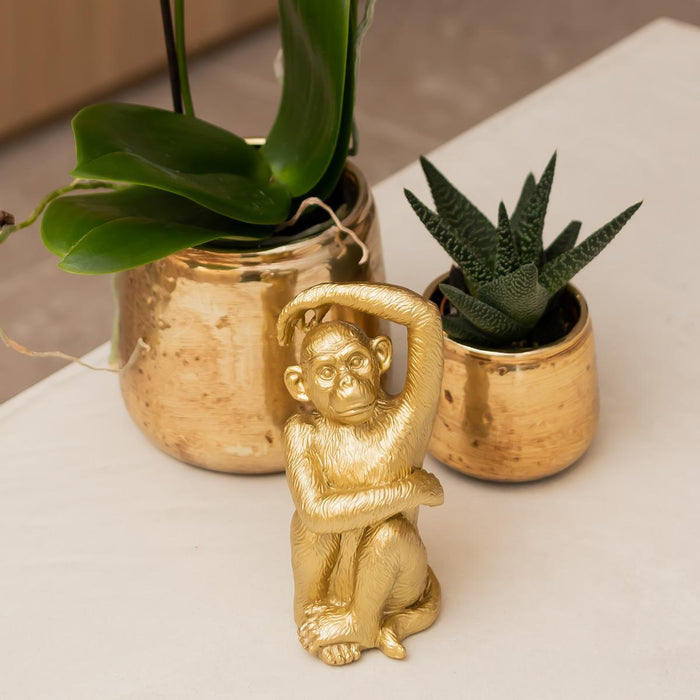 Guld Siddende Abe - Dekorativ Figur