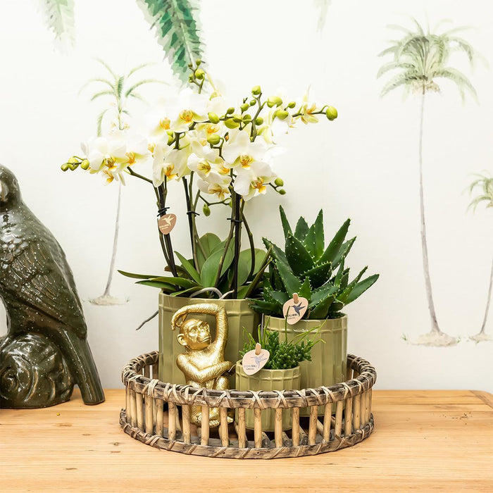 Guld Siddende Abe - Dekorativ Figur