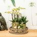 Guld Siddende Abe - Dekorativ Figur